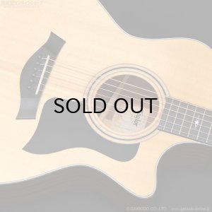 画像10: Taylor　2019 314ce V-Class [中古品] [半期決算セール特価]