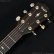 画像13: Taylor　2019 314ce V-Class [中古品] (13)