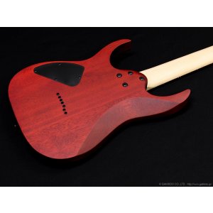 画像9: Ibanez　RG7421PB 7-string [Sapphire Blue Flat]