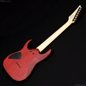画像10: Ibanez　RG7421PB 7-string [Sapphire Blue Flat]