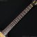画像9: Gibson　1977 Firebird Bicentennial Edition 1976 [ヴィンテージ品] (9)
