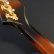 画像14: Gibson　1977 Firebird Bicentennial Edition 1976 [ヴィンテージ品] (14)
