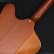 画像16: Gibson　1977 Firebird Bicentennial Edition 1976 [ヴィンテージ品]
