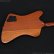 画像18: Gibson　1977 Firebird Bicentennial Edition 1976 [ヴィンテージ品] (18)