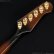 画像12: Gibson　1977 Firebird Bicentennial Edition 1976 [ヴィンテージ品] (12)