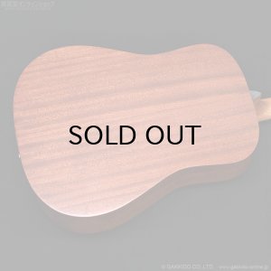 画像11: Martin D-10E-01