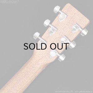 画像8: Martin D-10E-01