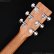 画像8: Martin　D-10E-01