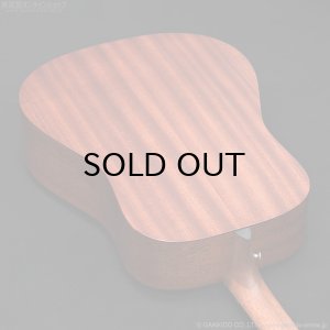 画像12: Martin D-10E-01