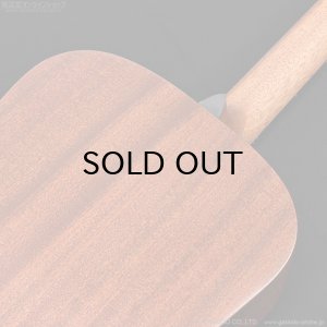 画像9: Martin D-10E-01