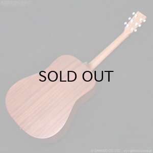 画像13: Martin D-10E-01