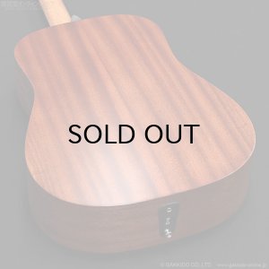 画像10: Martin D-10E-01