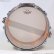画像5: Pearl　FTPB1465 Free Floating Phosphor Bronze 14”x6.5” スネアドラム
