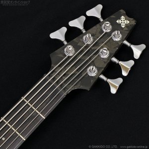 画像11: Modulus　1991 Quantum 6 Q6 [中古品]