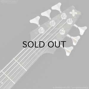 画像11: Modulus　1991 Quantum 6 Q6 [中古品]