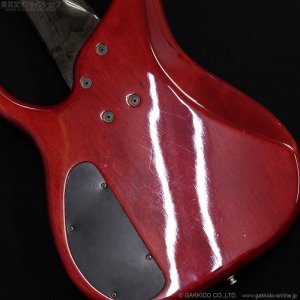 画像14: Modulus　1991 Quantum 6 Q6 [中古品]