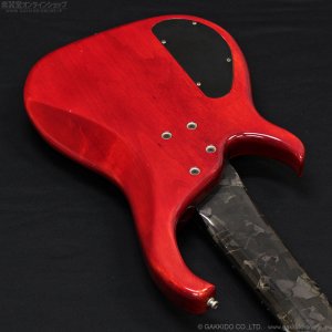 画像17: Modulus　1991 Quantum 6 Q6 [中古品]