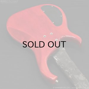 画像17: Modulus　1991 Quantum 6 Q6 [中古品]