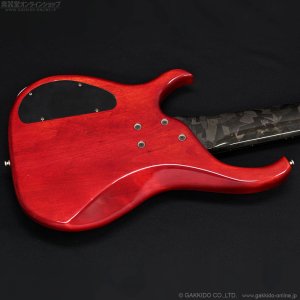 画像16: Modulus　1991 Quantum 6 Q6 [中古品]