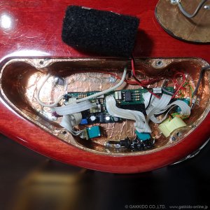 画像19: Modulus　1991 Quantum 6 Q6 [中古品]