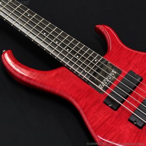 画像6: Modulus　1991 Quantum 6 Q6 [中古品]
