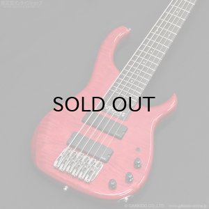 画像3: Modulus　1991 Quantum 6 Q6 [中古品]