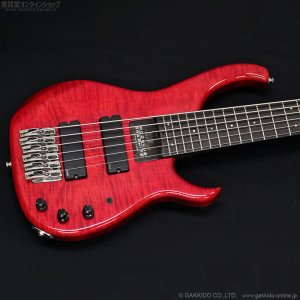 画像2: Modulus　1991 Quantum 6 Q6 [中古品]