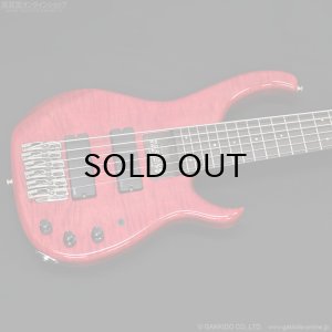 画像2: Modulus　1991 Quantum 6 Q6 [中古品]