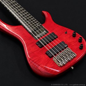 画像4: Modulus　1991 Quantum 6 Q6 [中古品]