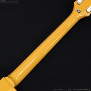 画像8: Epiphone　Les Paul Special [TV Yellow]