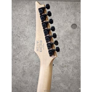 画像8: Ibanez　RG7421EX BKF [Black Flat]