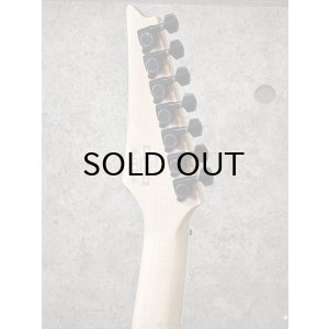 画像8: Ibanez　RG7421EX BKF [Black Flat]