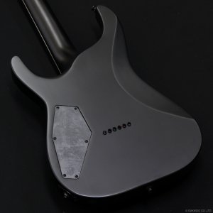 画像8: GrassRoots　G-HORIZON-FX [Black Satin]