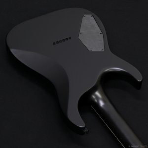 画像9: GrassRoots　G-HORIZON-FX [Black Satin]