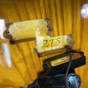 画像21: SCHECTER　PJ Type Bass 2TS w/Alembic Pickups [2-Tone Sunburst] [中古品]