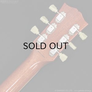 画像12: Tokai　LS-101 LD [Lemon Drop]