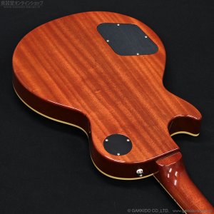 画像16: Tokai　LS-101 LD [Lemon Drop]