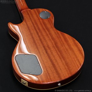 画像14: Tokai　LS-101 LD [Lemon Drop]