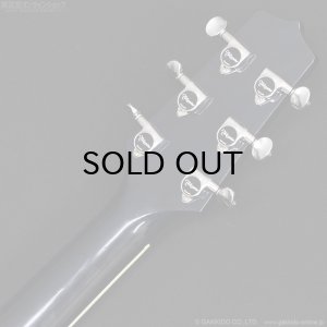 画像8: Takamine　2019 PTU121C DBS [中古品]