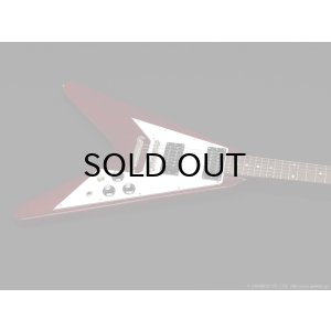 画像4: Edwards　E-FV-LTD CH [Cherry]