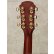 画像8: Aria Dreadnought　AD-915 N [中古品]