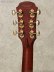 画像8: Aria Dreadnought　AD-915 N [中古品] (8)