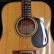 画像9: Alvarez Yairi　1986 DY45 N [中古品]