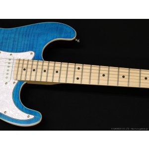 画像4: Sfida　SST-650 [Blue]