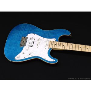画像3: Sfida　SST-650 [Blue]