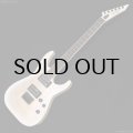 GrassRoots　G-HORIZON-FX [See Thru White Sunburst Satin]