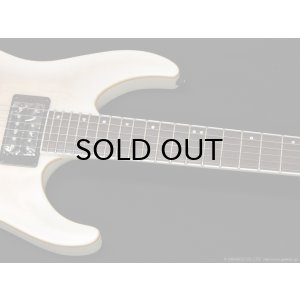 画像5: GrassRoots　G-HORIZON-FX [See Thru White Sunburst Satin]