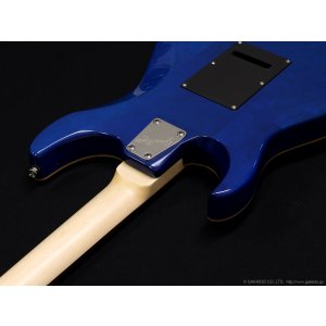 画像7: GrassRoots　G-SN-CTM Snapper [See Thru Blue]