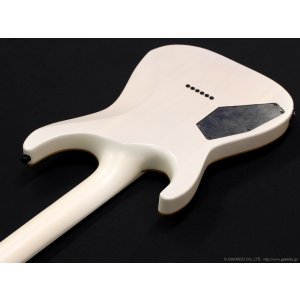 画像8: GrassRoots　G-HORIZON-FX [See Thru White Sunburst Satin]