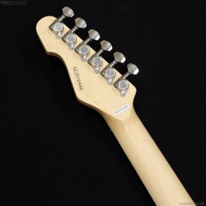 画像6: GrassRoots　G-SN-CTM Snapper [See Thru Blue]